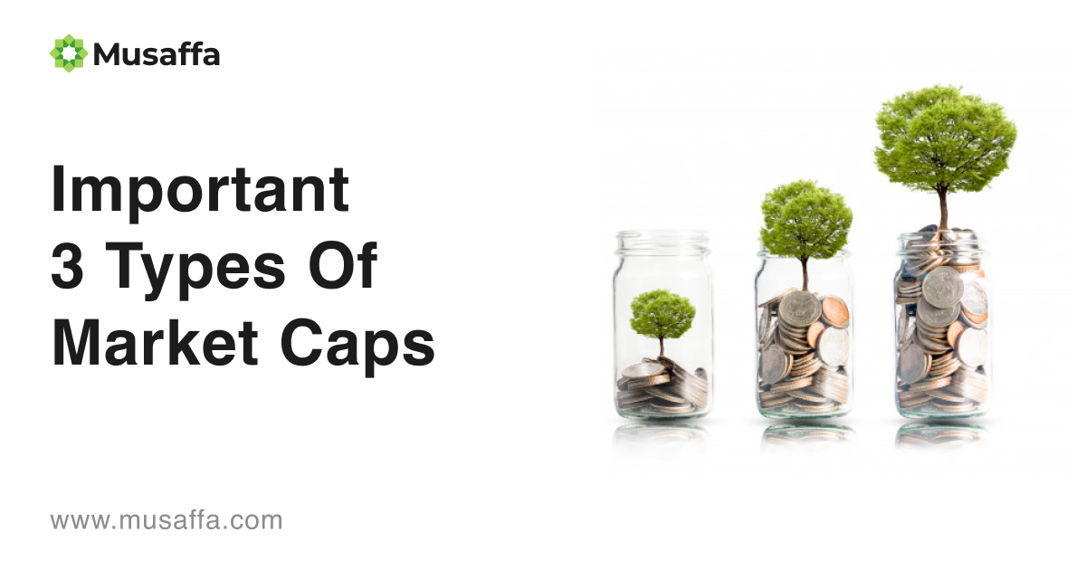 Important 3 Types of Market Caps