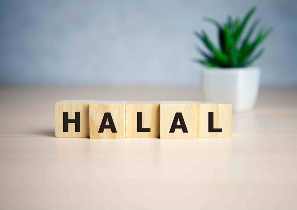 What is Halal Investment?