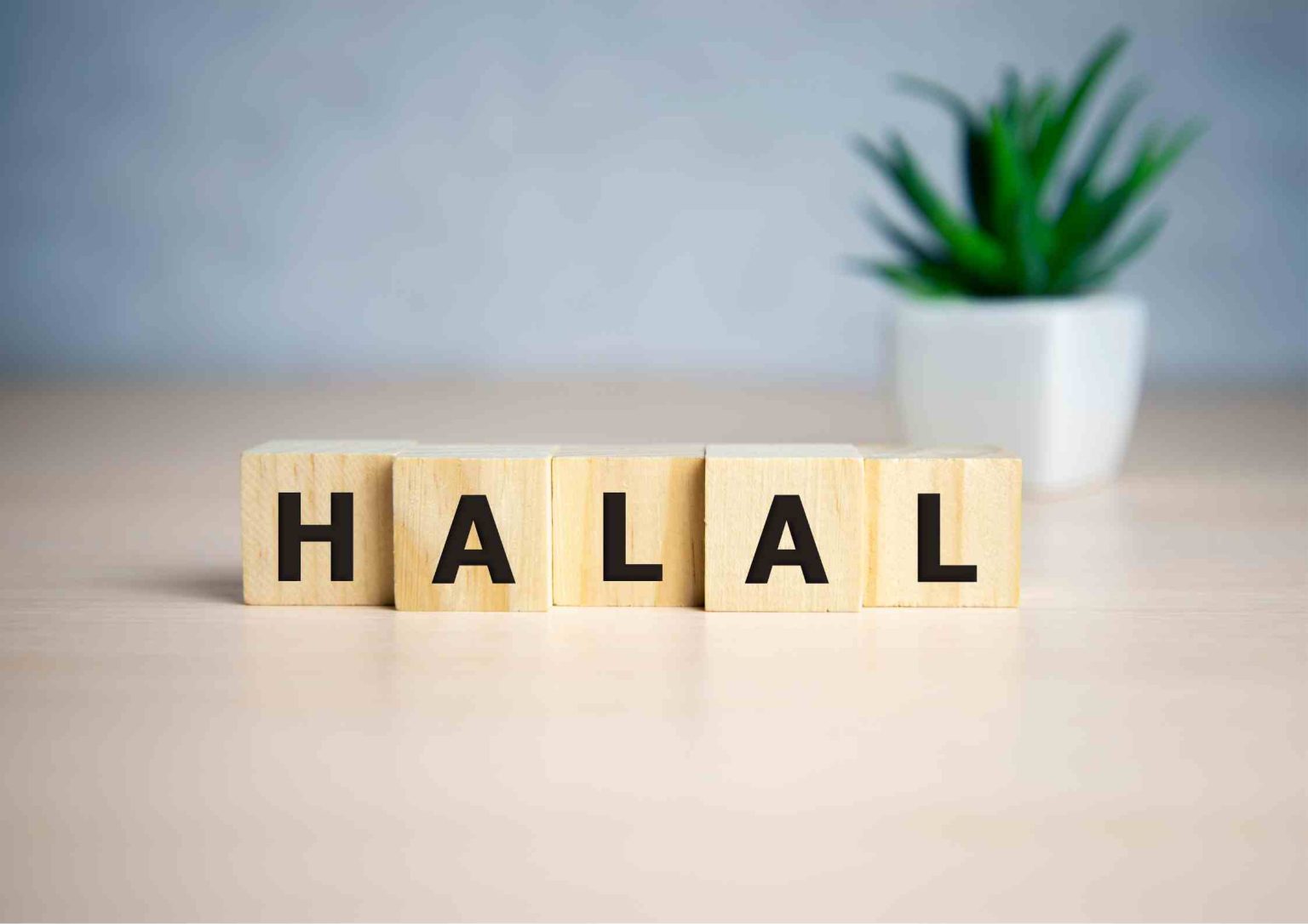 7 Best Halal Investment Ideas for 2023 Musaffa Academy